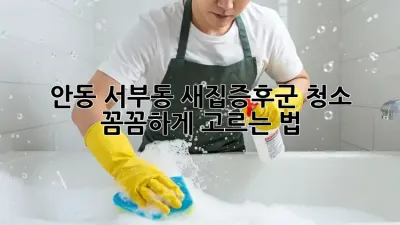 안동 서부동 새집증후군 청소, 꼼꼼하게 고르는 법✨